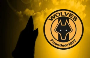 Lịch Sử Hình Thành Và Phát Triển Của Wolves