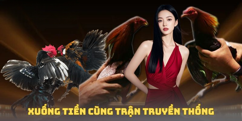 Đá Gà DEBET – Trải Nghiệm Hiệu Quả, Săn Thưởng An Toàn